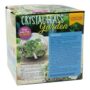 Seed Starting Terrarium – Crystal Glass Garden